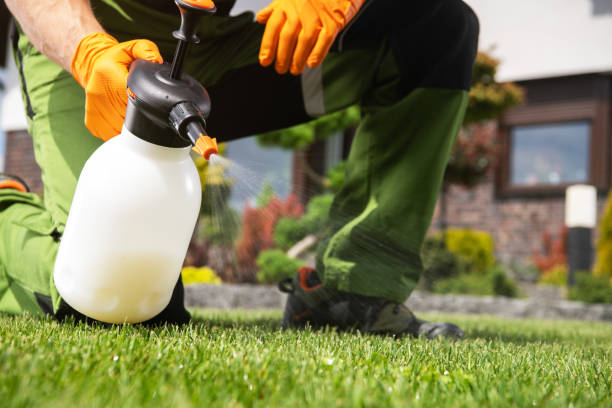 Best Pest Prevention Services  in South Blooming Grove, NY