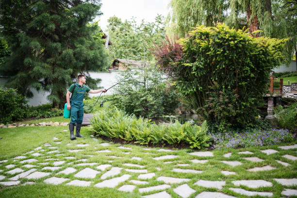 Wasp Removal Services in South Blooming Grove, NY