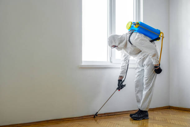 Best Pest Inspection Near Me  in South Blooming Grove, NY