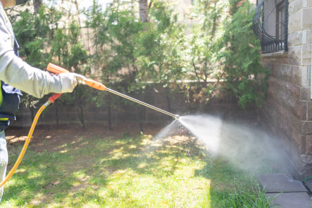 Best Wasp Removal Services  in South Blooming Grove, NY