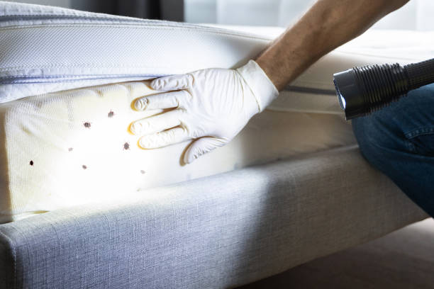 Trusted South Blooming Grove, NY Pest Control Experts