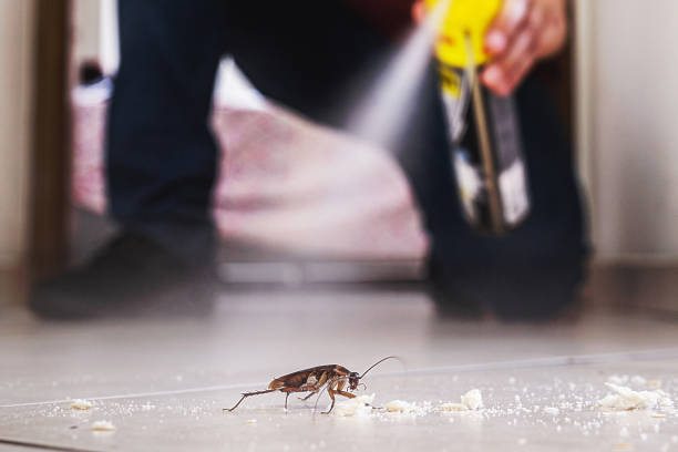 Best Cockroach Control Services  in South Blooming Grove, NY